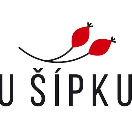 Dum U Sipku Hotel Krásná Lípa Bagian luar foto